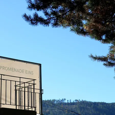 Apartament Five & Bergblick - Haus Seepromenade *